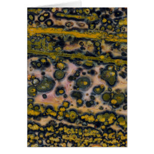 Jasperge à taches jaunes