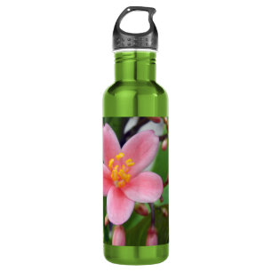 Jatropha-Blume und Blumenknospen Edelstahlflasche