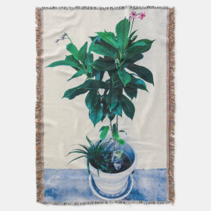 Jatropha-Pflanze im natürlichen Grün Decke