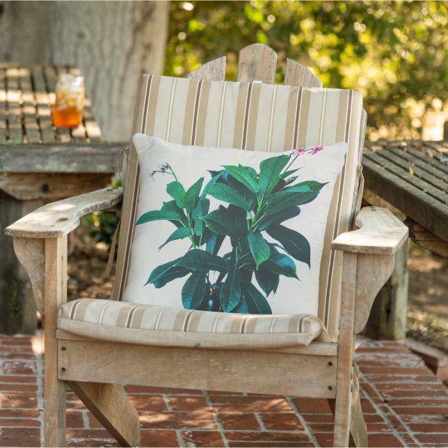Jatropha-Pflanze in Natural Green Kissen (Stuhl )