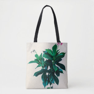 Jatropha-Pflanze in Natural Green Tasche