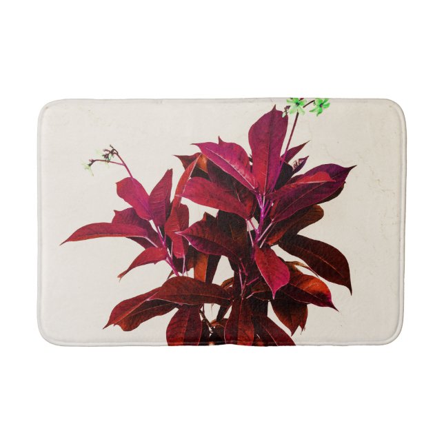 Jatropha-Pflanze in tiefrotem Badematte (Vorderseite)