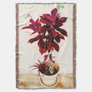 Jatropha-Pflanze in tiefrotem Decke