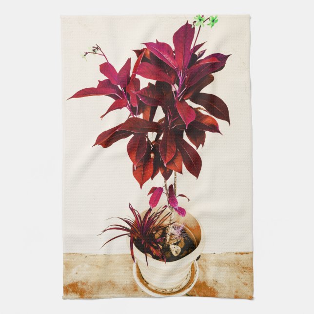 Jatropha-Pflanze in tiefrotem Geschirrtuch (Vertikal)