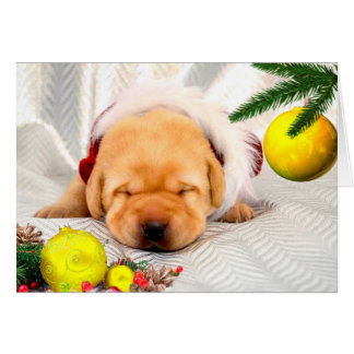 Jaune de la semaine 2 de gratitude