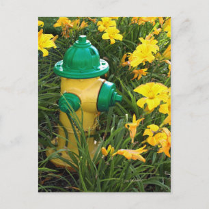 Jaune et gree postkarte