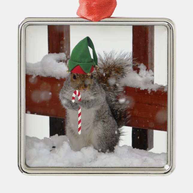Jaunty Squirrel avec Sucre de canne Ornement de va (Devant)