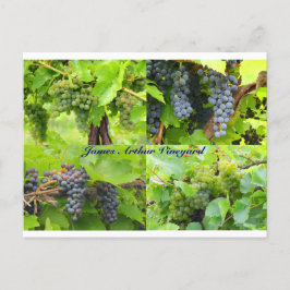 JAV Collage Postcard 2013 9 Postkarte