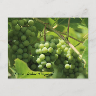 JAV Green. Postkarte St. Croix 10