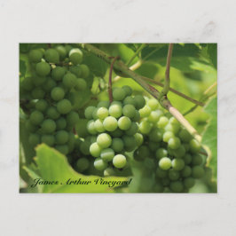 JAV Green. Postkarte St. Croix 10