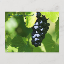 JAV St. Croix purple grapes 2014 100n Postkarte