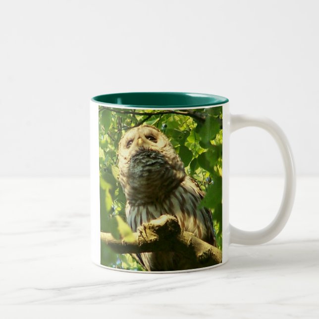 Java-Schrei-Tasse Zweifarbige Tasse (Rechts)