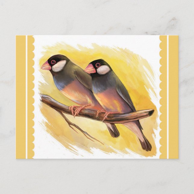 Java Sparrow fincht realistische Malerei Postkarte (Vorderseite)