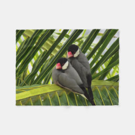 Java Sparrow Fleecedecke