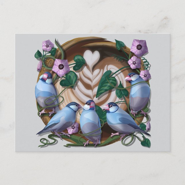 Java Sparrows, Java Coffee Postkarte (Vorderseite)