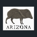 Javelina ARIZONA Wüste Wild Animal Peccary Nature Postkarte<br><div class="desc">Passen Sie diese niedliche javelina-Karte an,  indem Sie Ihren eigenen Text hinzufügen. Karo meinen Shop für mehr! Wenn du es kaufst,  danke! Stellen Sie sicher,  dass Sie ein Bild auf Instagram von ihm in Aktion teilen und mich @shoshannahscribbles markieren:)</div>