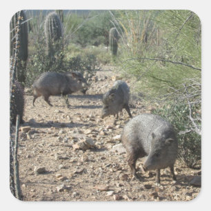 Javelina Aufkleber