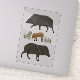 Javelina Familienportrait Farbige Stift Kunst Aufkleber