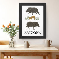 Javelina Family Portrait Wüstentiere ARIZONA
