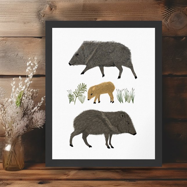 Javelina Family Portrait Wüstentiere Poster (Javelina Family Portrait Desert Animals Poster Wall Art Illustration)