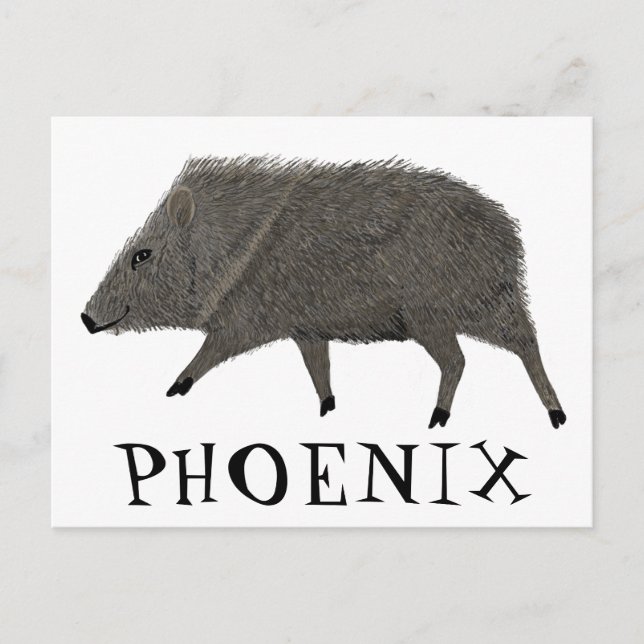 Javelina PHOENIX Wüste Wilde Tierart Postkarte (Vorderseite)