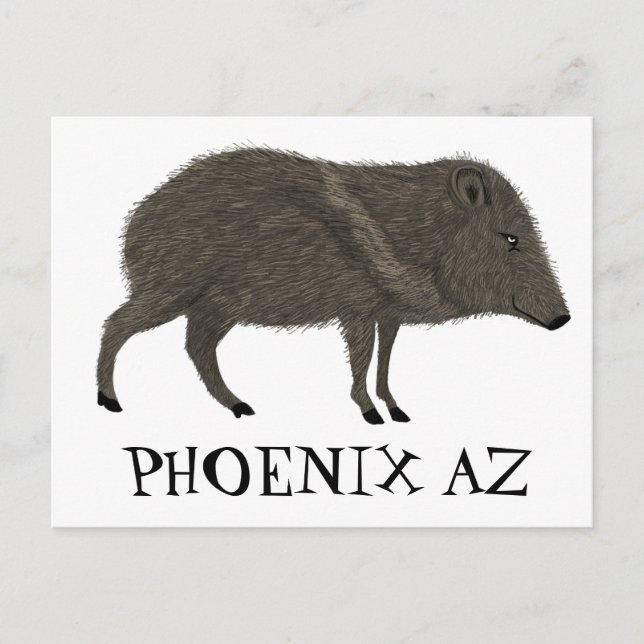 Javelina PHOENIX Wüste Wilde Tierart Postkarte (Vorderseite)