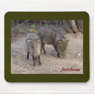 Javelinas mousepad
