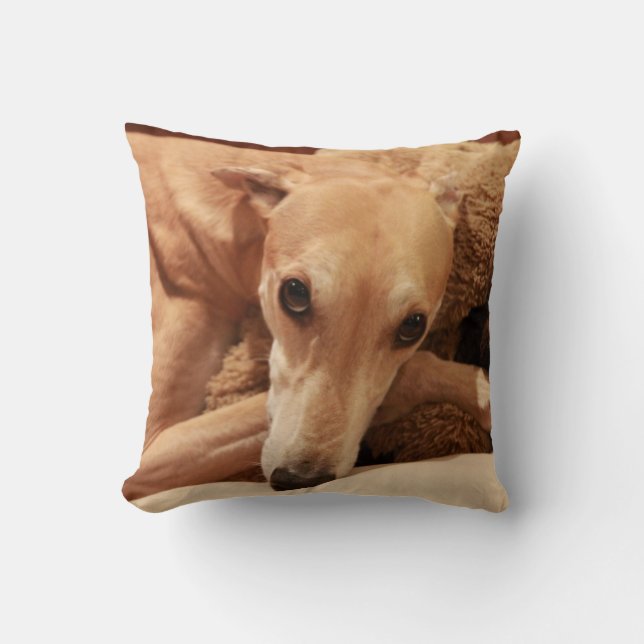 Jax auf seinem Kissen (Vorderseite)