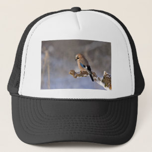 Jay Bird im Winter Truckerkappe