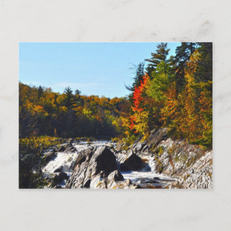Jay Cook State Park Minnesota Postkarte