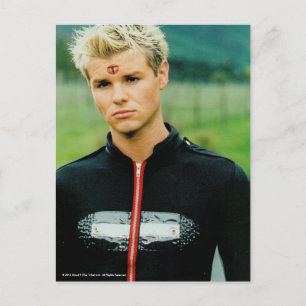 Jay Der Stamm Postkarte