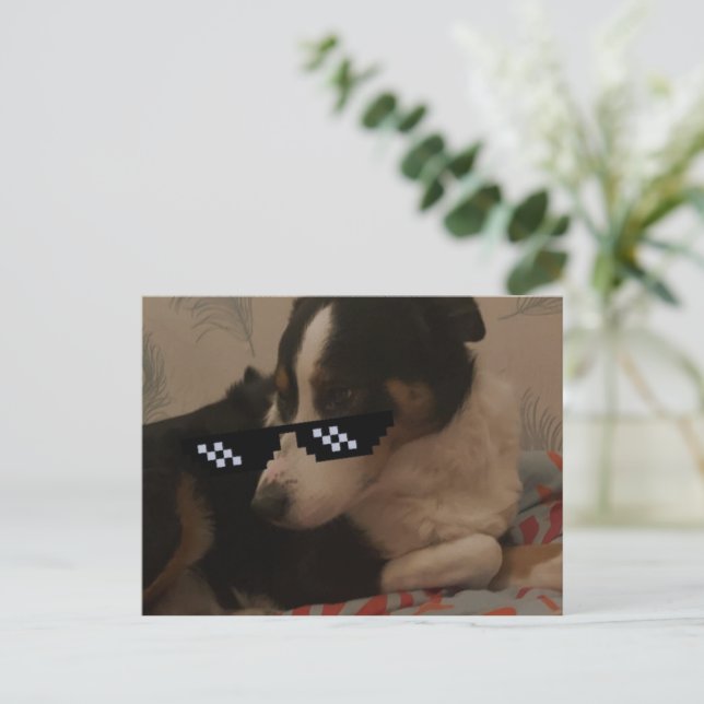 Jay Postkarte (Stehend Vorderseite)