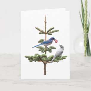 Jay Weihnachtsbaumkarte Karte