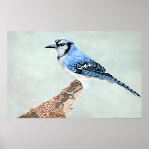 Jays von Jane Poster