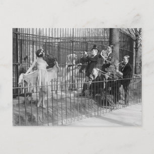 Jazzband unterhält Eisbären, 1925 Postkarte