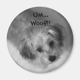 Jazzie Magnet