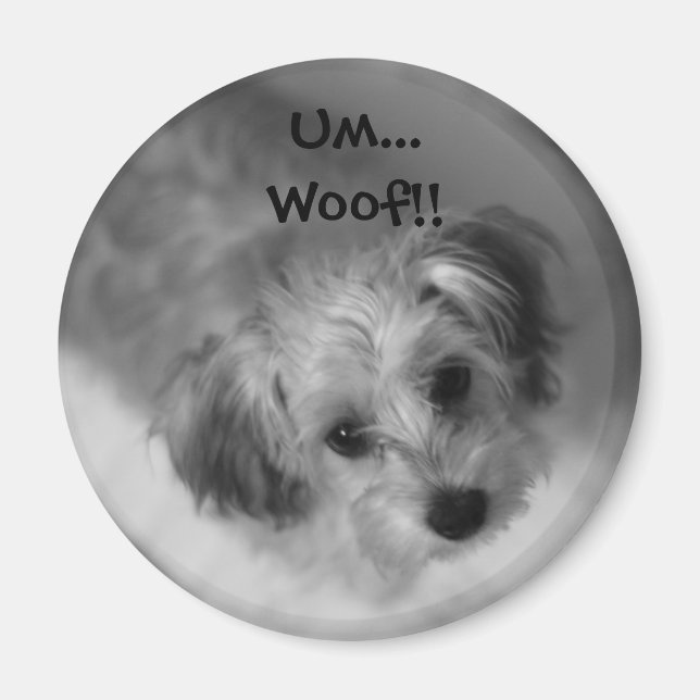 Jazzie Magnet (Vorne)