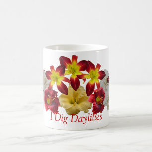 Je creuse la tasse de Daylilies