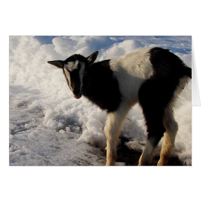 Je déteste Winter. Voici Hoping Spring arrive bien (Devant horizontal)