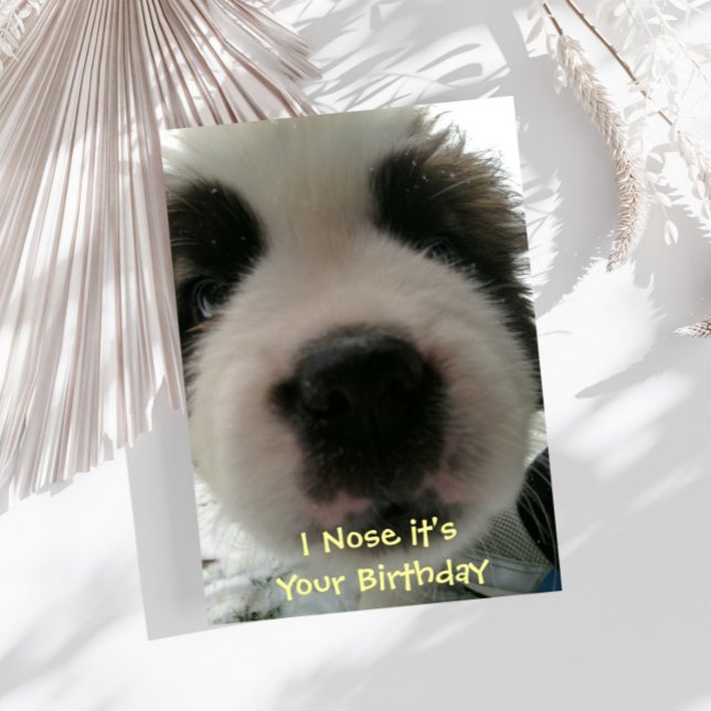 Je le flaire est votre carte d'anniversaire (Créateur téléchargé)