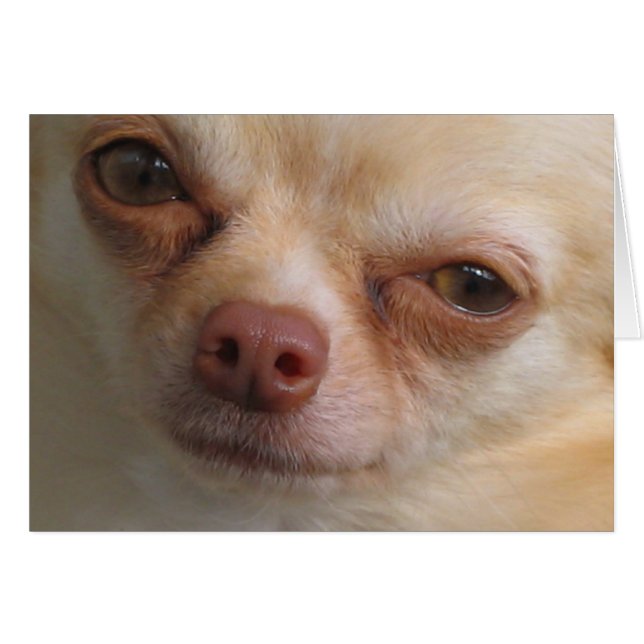 Je N'Ai Que Des Yeux Pour Toi (Devant horizontal)