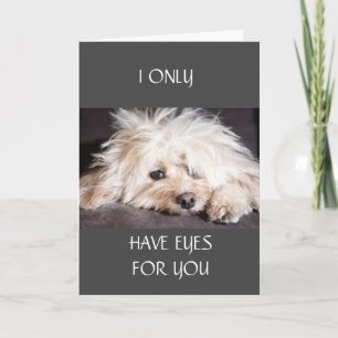 JE N'AI QUE LA CARTE "YEUX POUR VOUS"