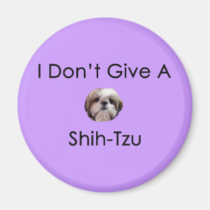 Je ne donne pas un aimant de Shih Tzu