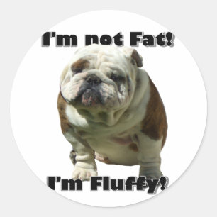 Je ne suis pas de gros autocollants de bouledogue