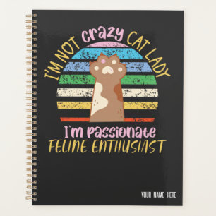 Je ne suis pas une dame folle   jeu de chat amusan