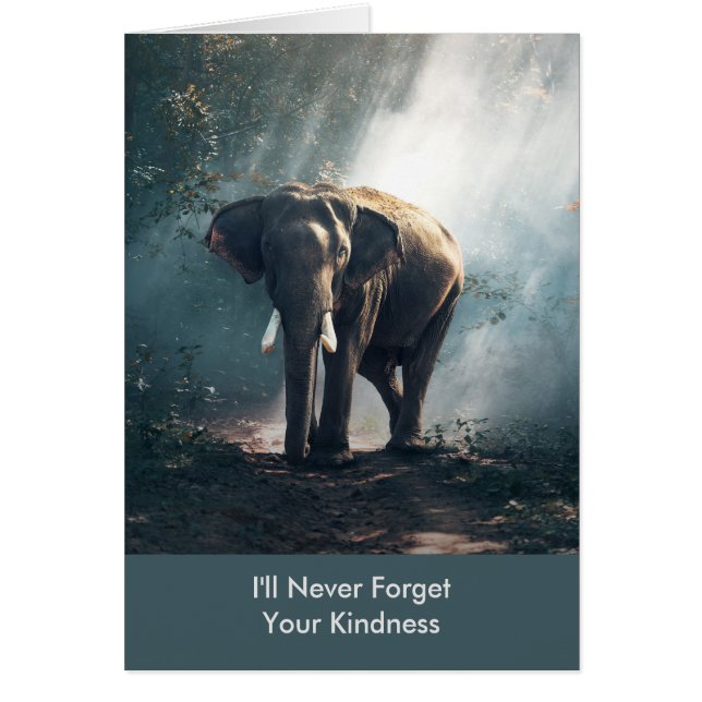 Je n'oublierai jamais ton Merci éléphant de bonté (Devant)