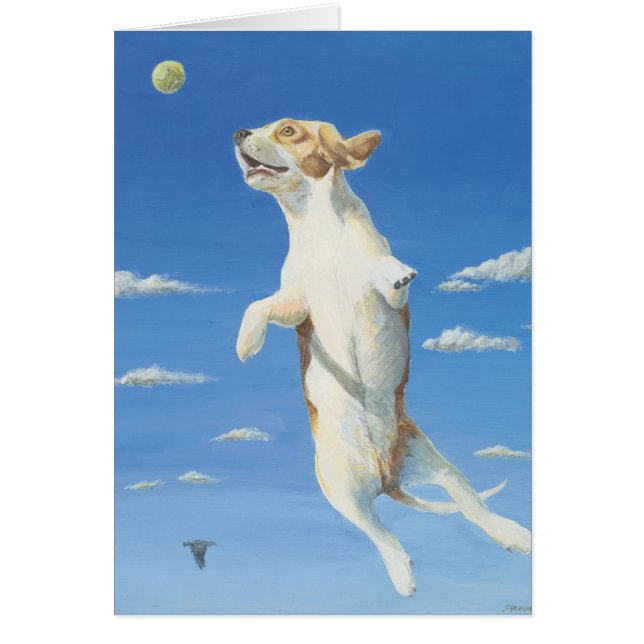 Je peux voler ! (Devant)