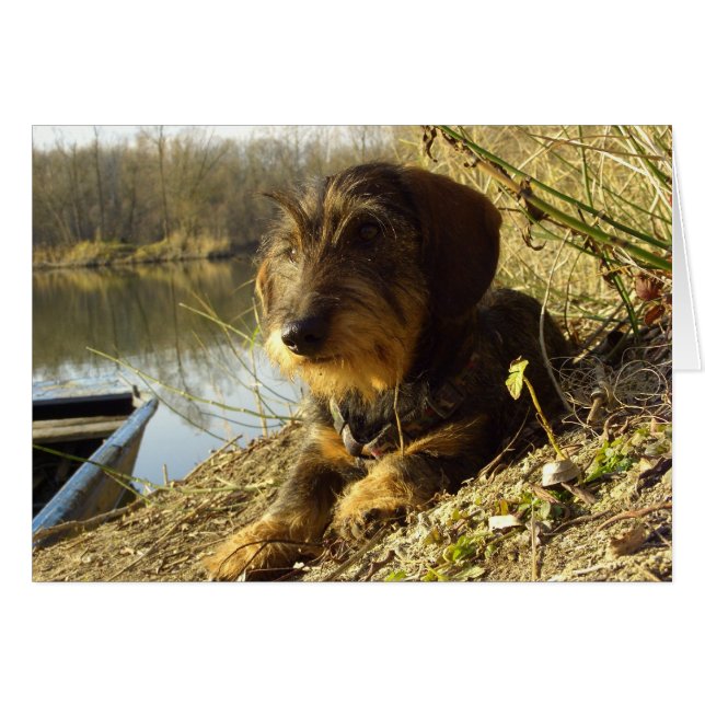 Je regarde (Devant horizontal)