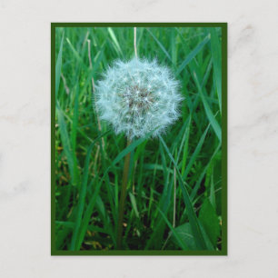 Je souhaite une carte postale