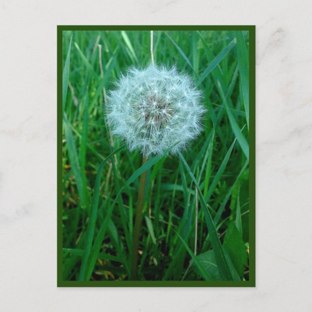 Je souhaite une carte postale (Devant)